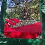Paradise Kosirina *