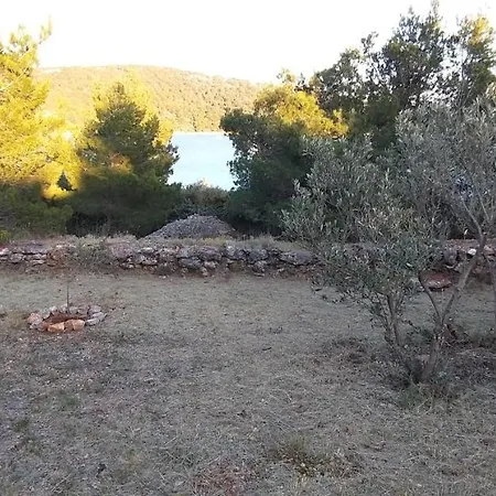 Paradise Kosirina