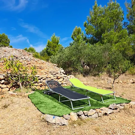 Paradise Kosirina * מורטר