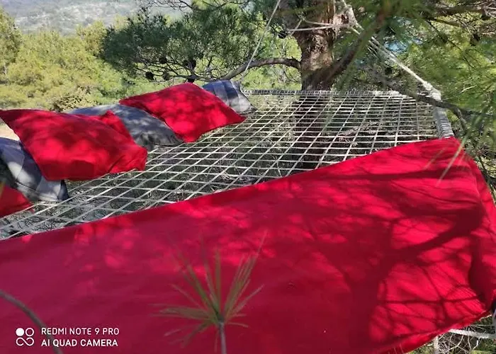 Kamp Paradise Kosirina