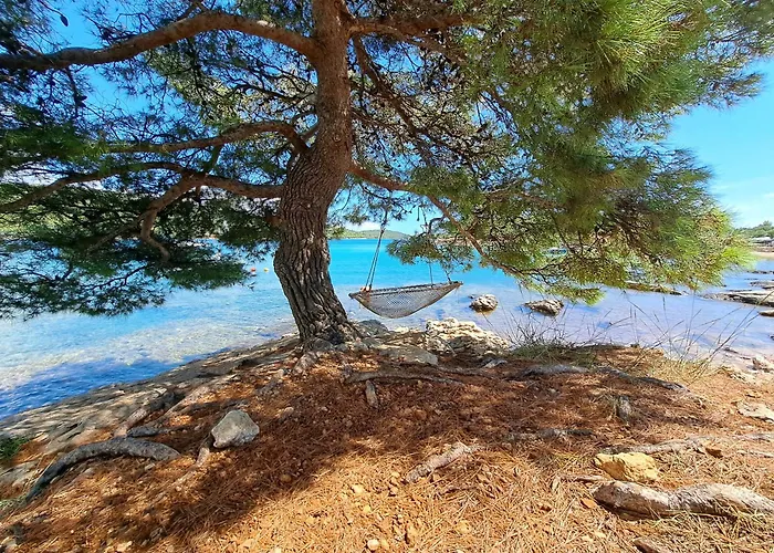 Paradise Kosirina אתר קמפינג *