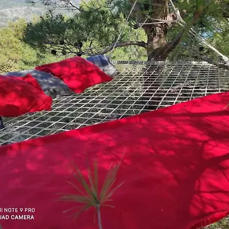 Camping Paradise Kosirina